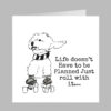 poodle bichon dog
