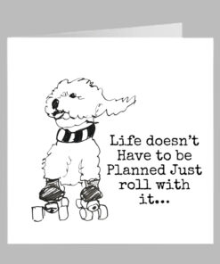 poodle bichon dog