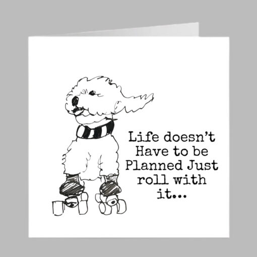 poodle bichon dog