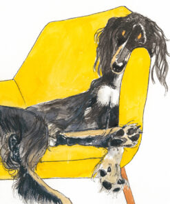 Armchair Collection - Saluki