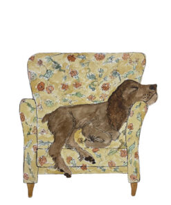 Armchair Collection - Cocker Spaniel