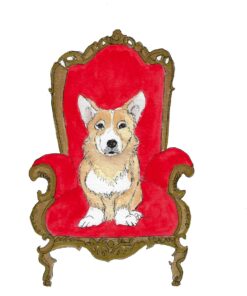 corgi dog print red chair illustration