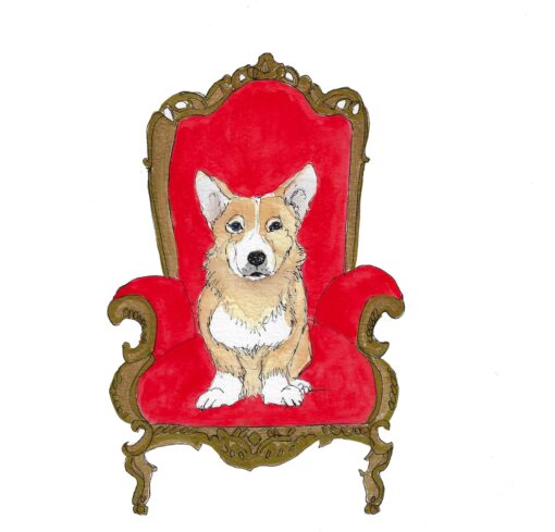 corgi dog print red chair illustration