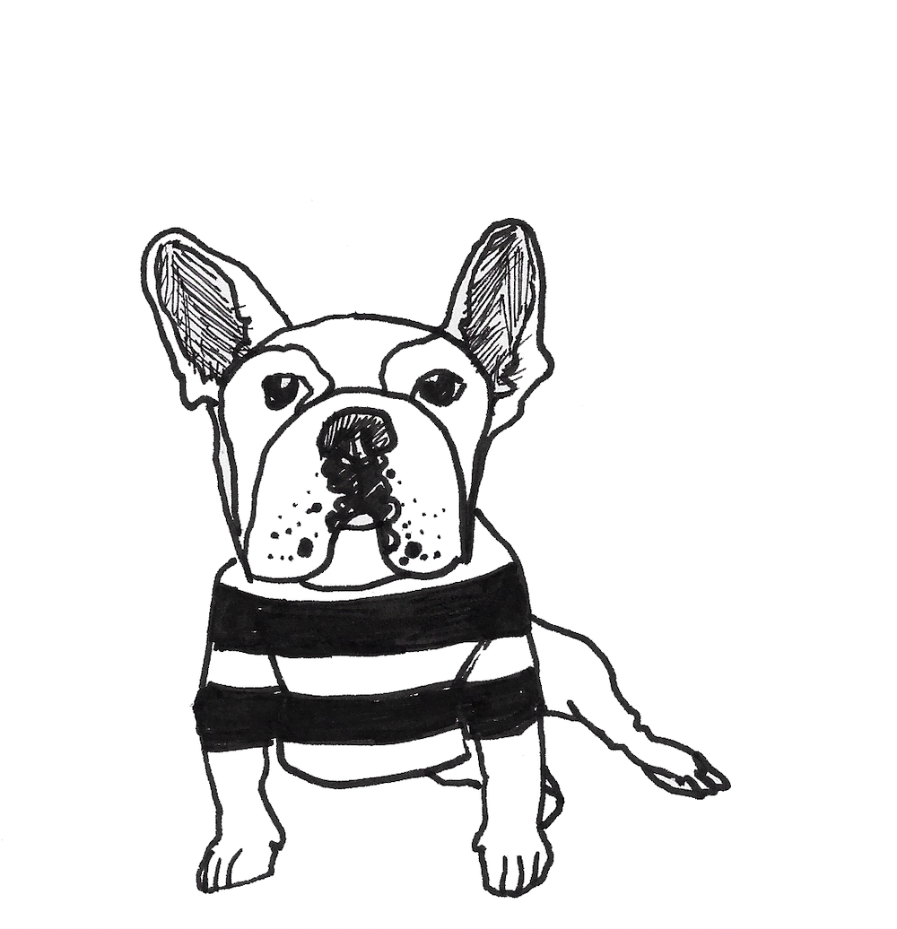 Custom Dog Portraits & Drawings