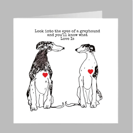 two greyhound hearts love is valentines birthday greeting card fun cute dog