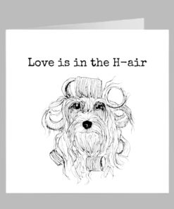Spaniel yorkshire terrier birthday greeting card dog fun cute rollers hairdresser hair