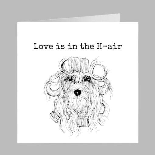 Spaniel yorkshire terrier birthday greeting card dog fun cute rollers hairdresser hair