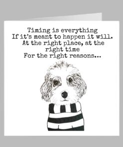 bernedoodle cross dog birthday greeting card fun cute striped jumper