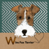 wire fox terrier birthday card illustration green stripe cute dog fun