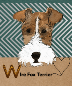 wire fox terrier birthday card illustration green stripe cute dog fun